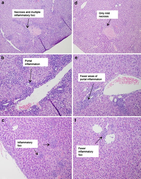 Fig. 7