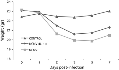 Fig. 6