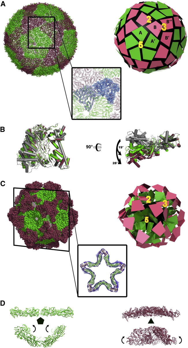 Figure 4