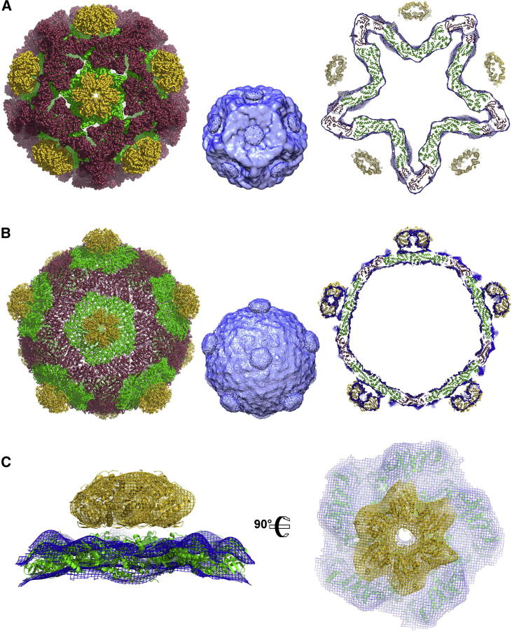 Figure 6