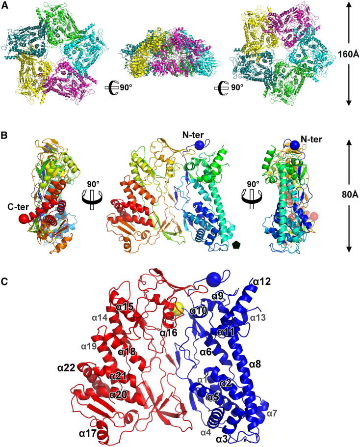 Figure 2