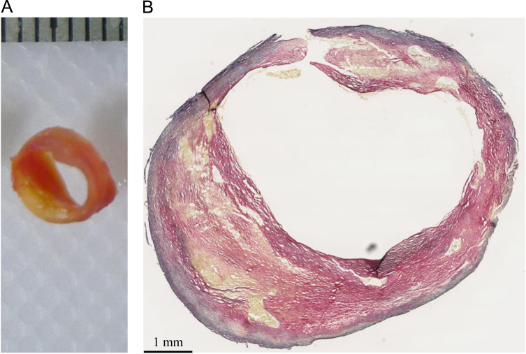 Fig. 9