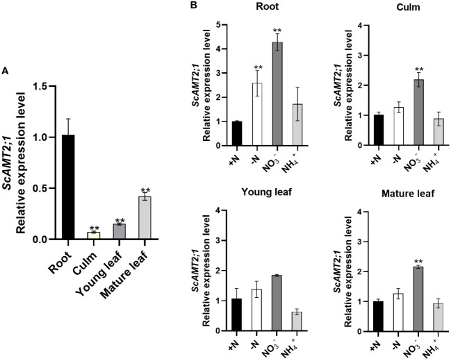 Figure 2