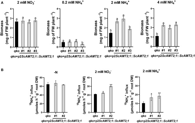 Figure 6