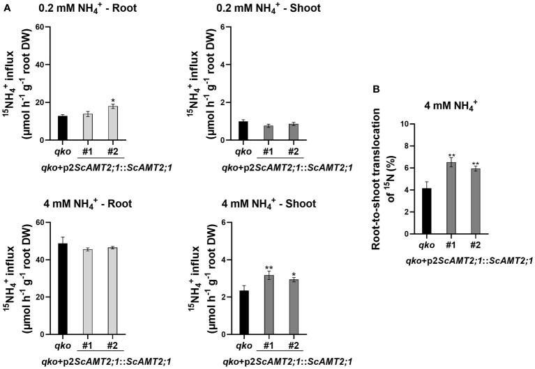 Figure 7