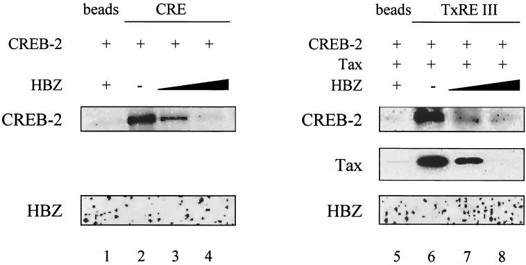 FIG. 8.