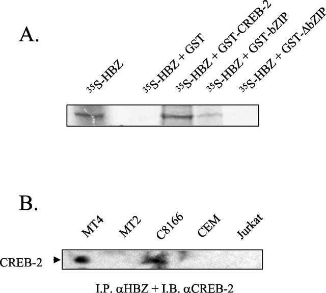 FIG. 6.