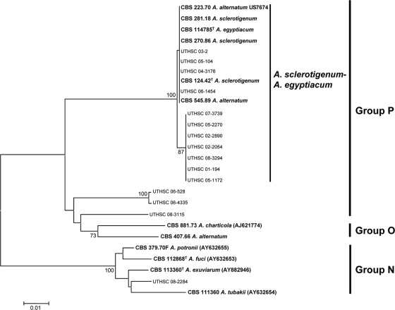 FIG. 5.