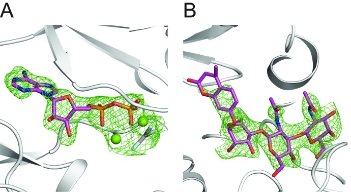 Figure 6—figure supplement 1.