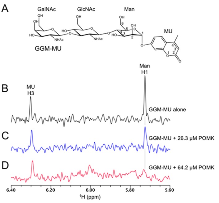 Figure 5—figure supplement 1.