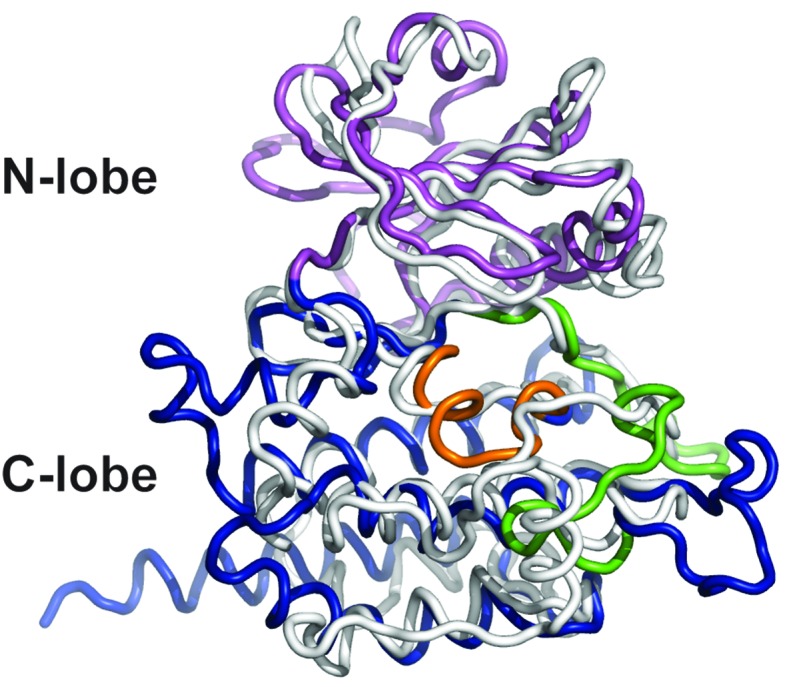 Figure 2—figure supplement 1.