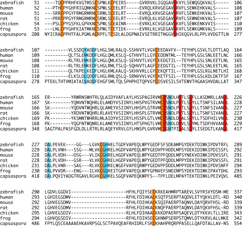 Figure 1—figure supplement 2.