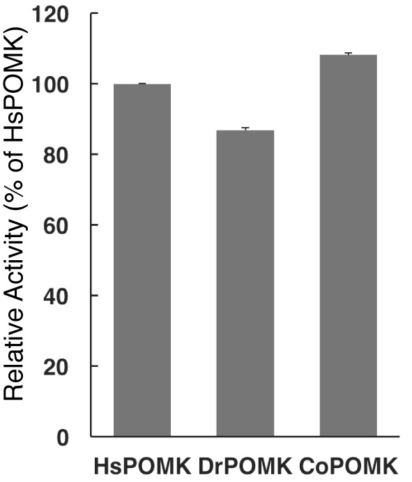 Figure 1—figure supplement 3.