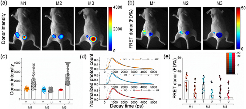 Figure 2|