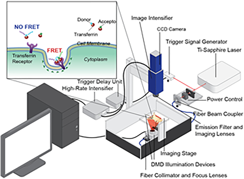 Figure 1|