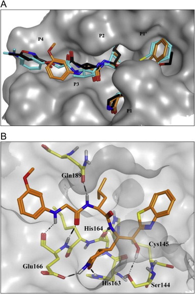 Fig. 2