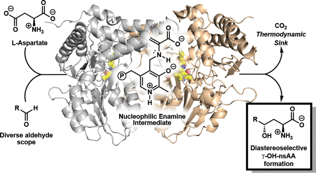 graphic file with name nihms-1769927-f0001.jpg