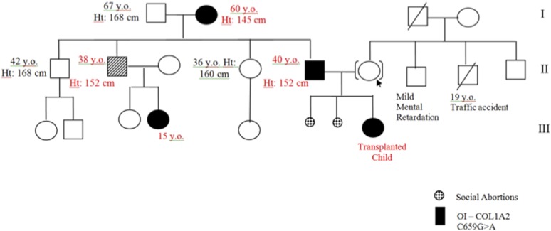 Figure 5.