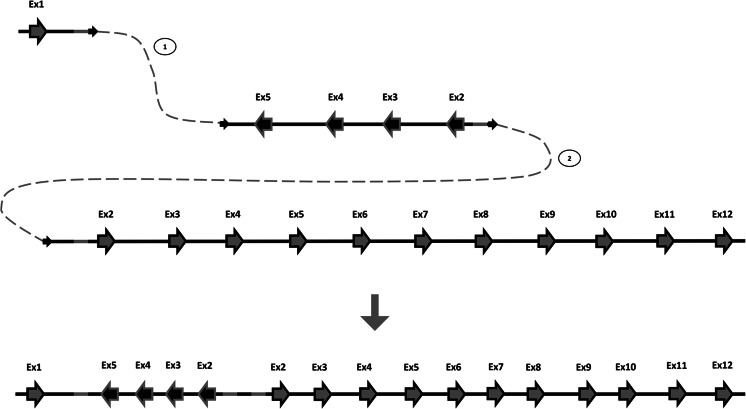 Fig. 4