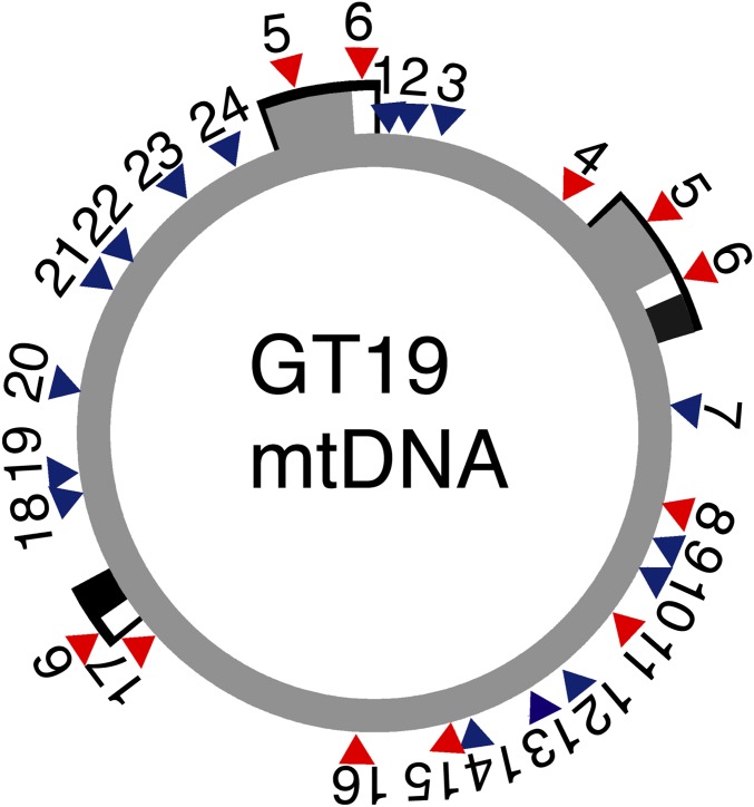 Fig. 2.