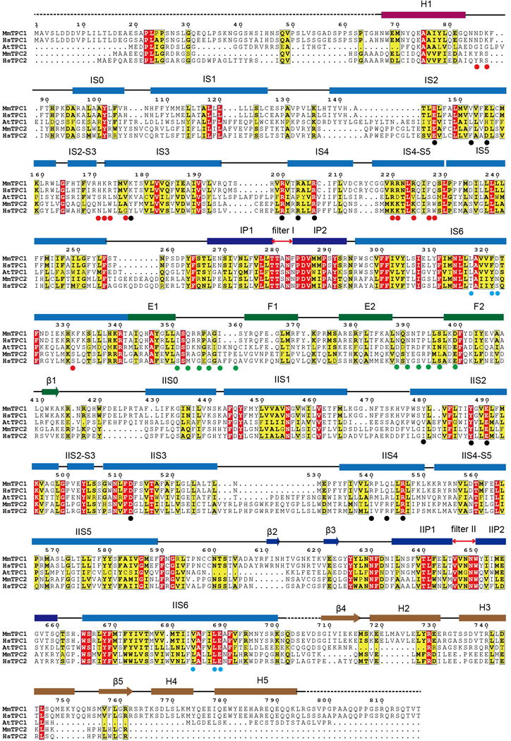 Extended Data Figure 1