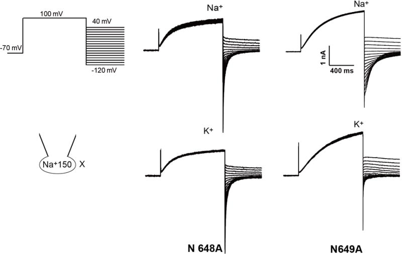 Extended Data Figure 7