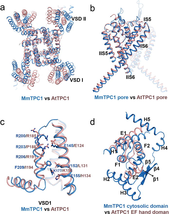 Extended Data Figure 6