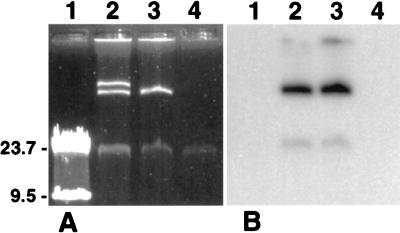 FIG. 7