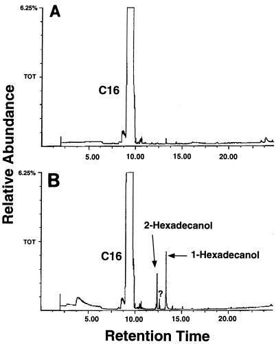 FIG. 5