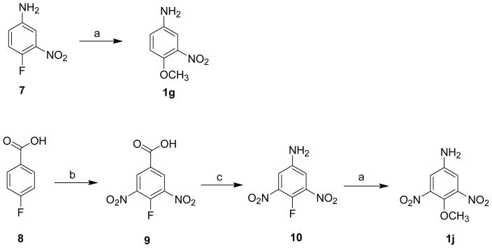 Scheme 3