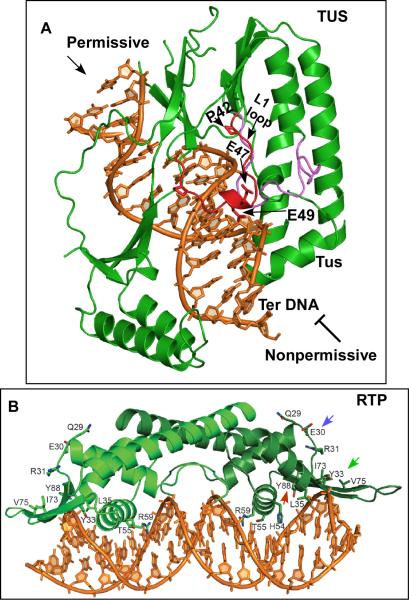 Fig.2