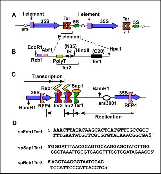 Fig.4