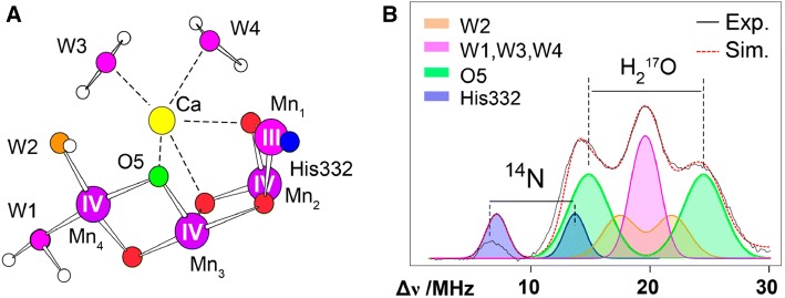 Fig. 7