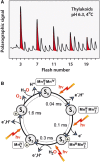 Fig. 3