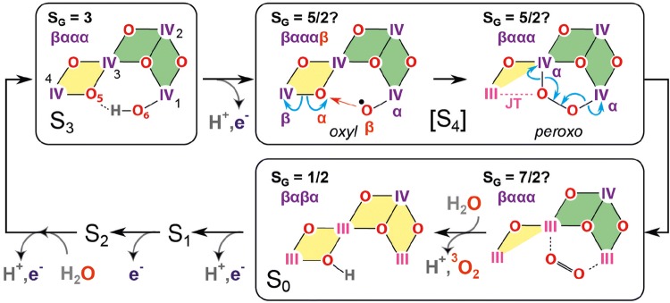 Fig. 10