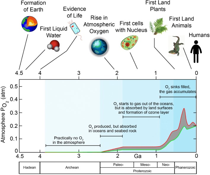 Fig. 1