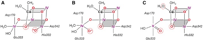 Fig. 9