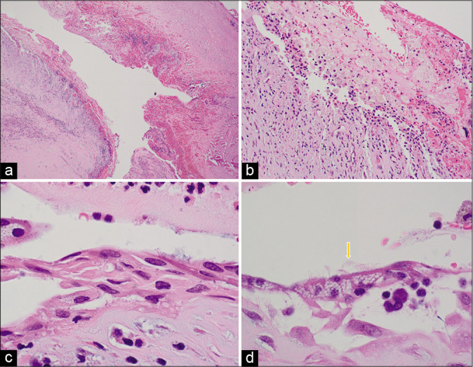 Figure 6: