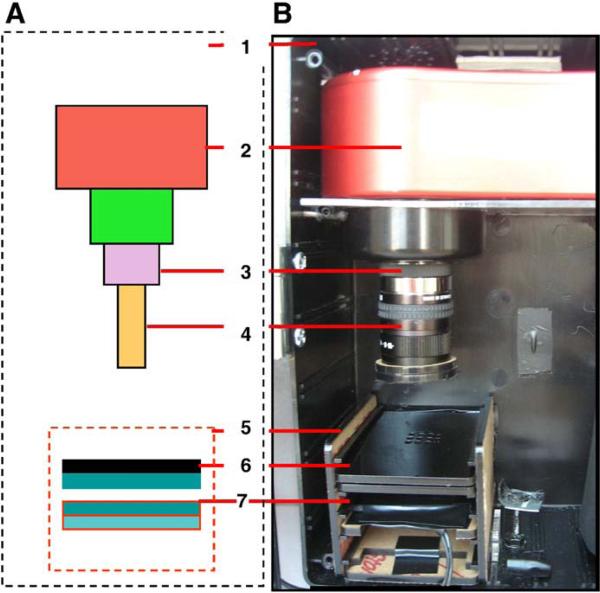 Fig. 1