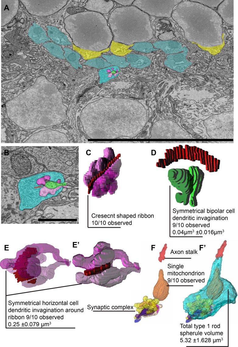 Fig 2