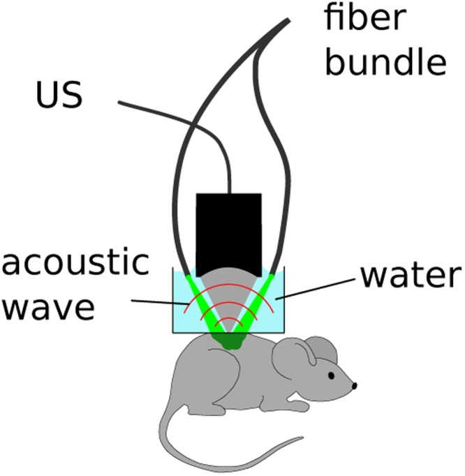 Fig. 4