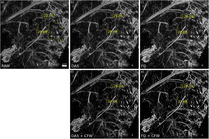 Fig. 7