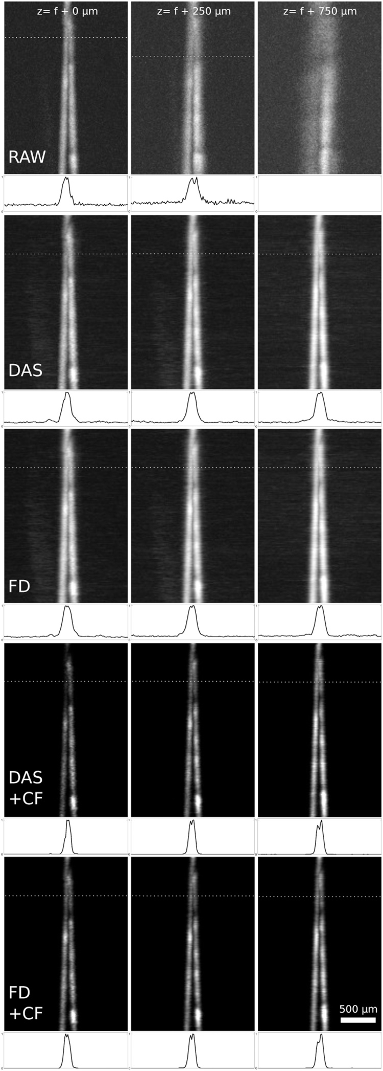 Fig. 5