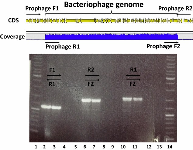 Fig. 7