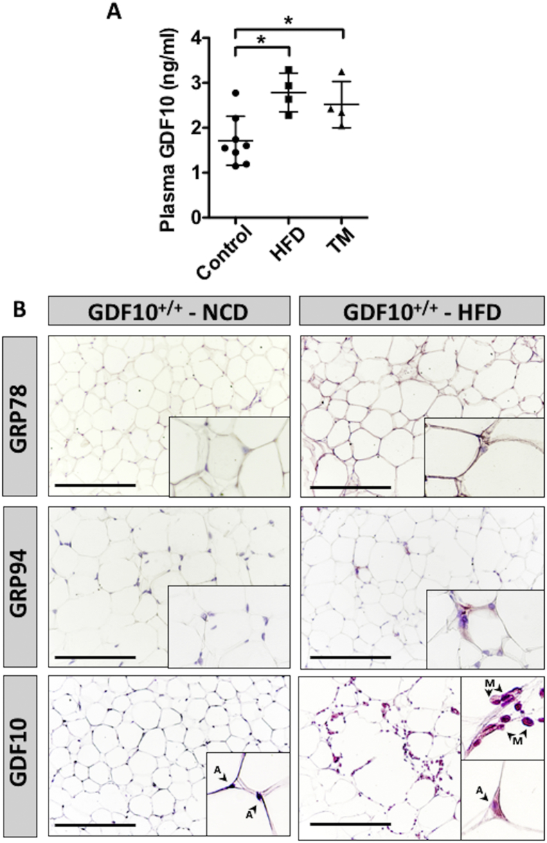 Figure 7