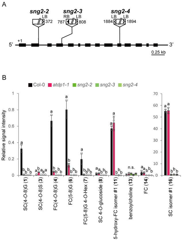 Figure 12