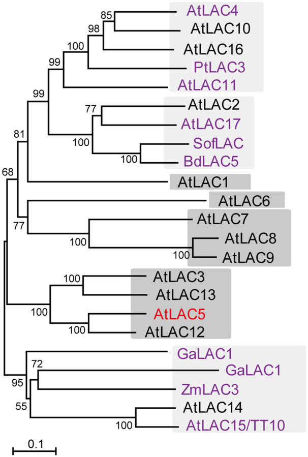 Figure 9