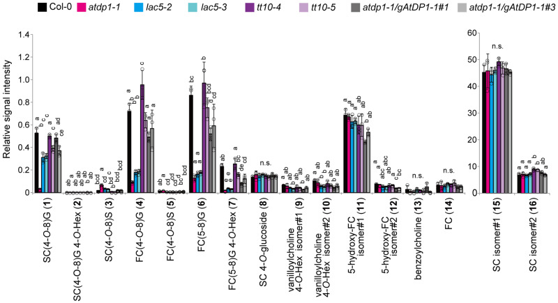 Figure 5