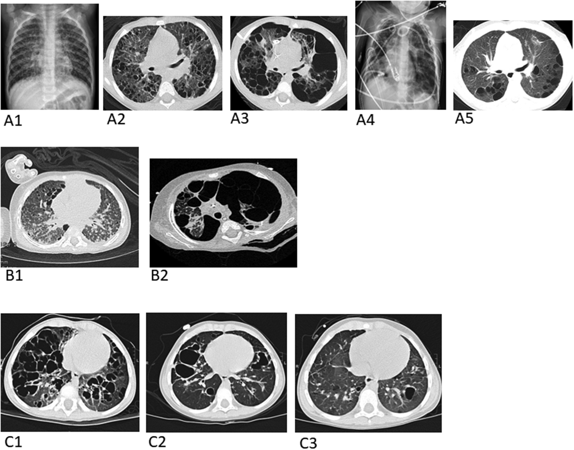 Figure 1: