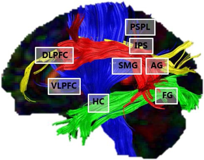 Fig 1